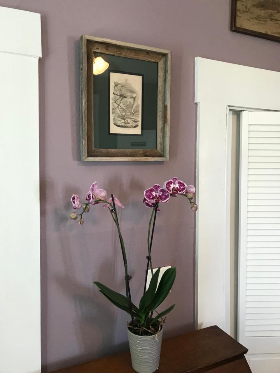 روكبورت Whooping Crane Manor B & B المظهر الخارجي الصورة